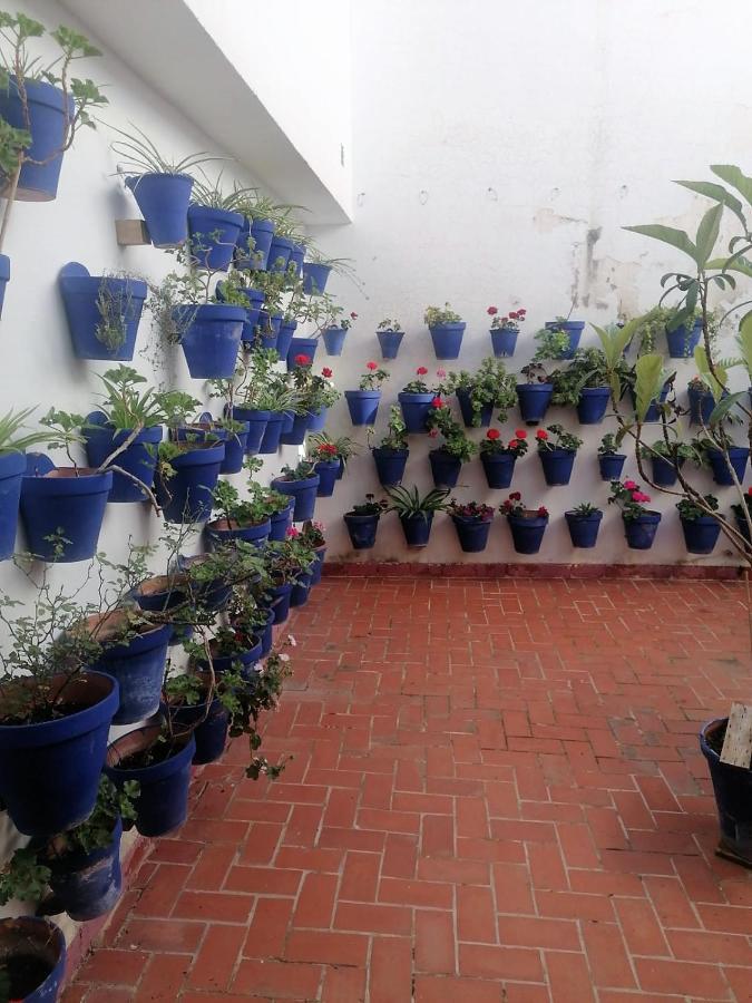 Plaza Mayor 2 Dormitorios Cordoba Dış mekan fotoğraf